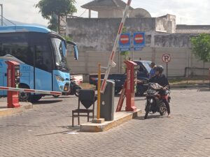 IMG_20241119_083947_1