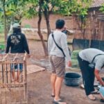 Polres Nganjuk Grebek Lokasi Sabung Ayam IMG-20250203-WA0140