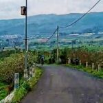 IMG-20250312-WA0342
