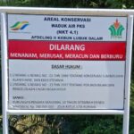 Miliki 14 Ribu Ha HCV, Ini Langkah PalmCo Menjaga Spesies Langka IMG-20250812-WA0040