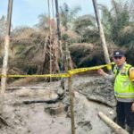 1000102805-679b8fb0461ad11c7448d145cee7fdab-2a9cb625b90e47b7d9937a5080c7041f