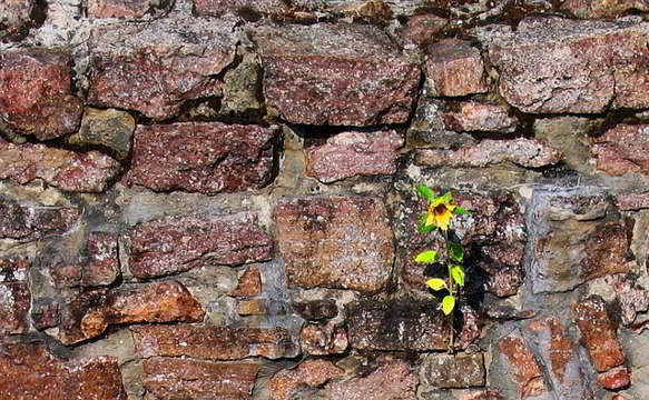 IMG-20260125-WA0027