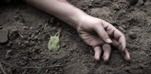 shutterstock_2227070341-1444x710