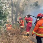 Karhutla Masih Kepung Sejumlah Gunung di Jatim, OMC Menunggu Kondisi Awan 2