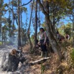 Kebakaran Kawasan Hutan Konservasi Gunung Buthak, Petugas Gabungan Berjibaku Padamkan Api IMG-20260904-WA0129