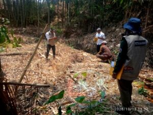 IMG_20261013_200741